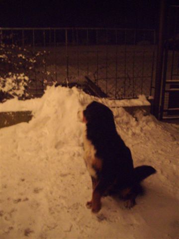 8.1.2010 012.jpg