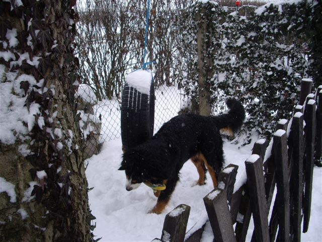 9.1.2010 006.jpg