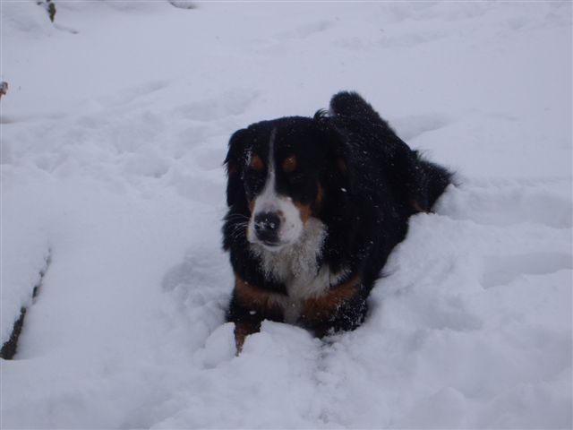 9.1.2010 011.jpg