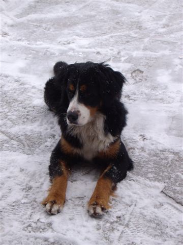 9.1.2010 014.jpg