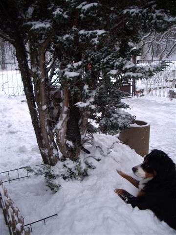 9.1.2010 016.jpg