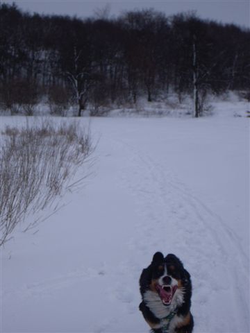 29.1.2010 004.jpg