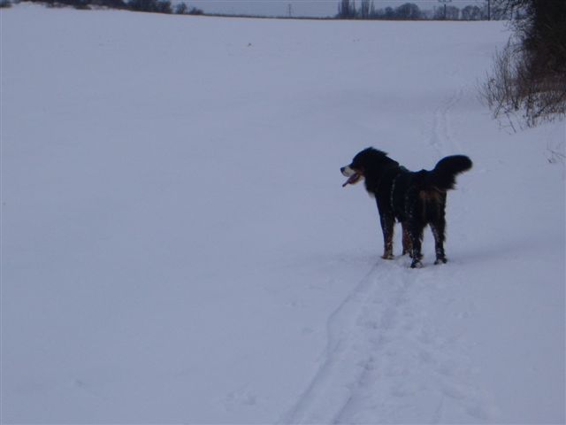 29.1.2010 008.jpg