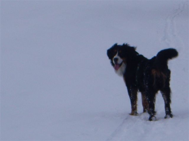 29.1.2010 009.jpg