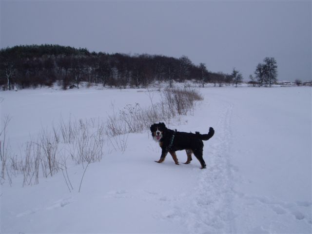 29.1.2010 010.jpg