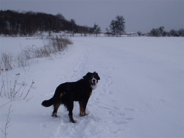 29.1.2010 019.jpg