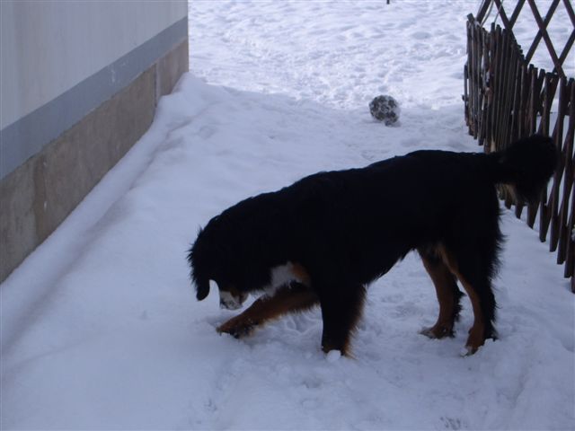 29.1.2010 032.jpg