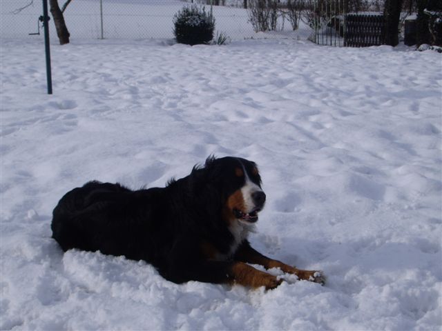 29.1.2010 037.jpg