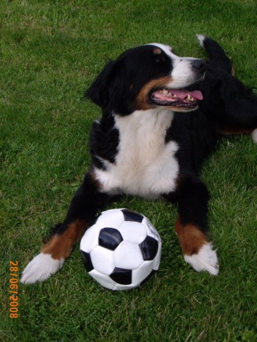Bára fotbalistka.jpg