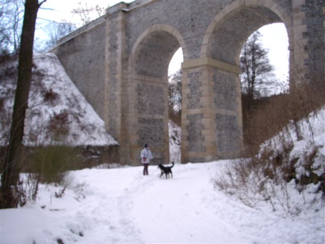 30.1.2010 002.jpg