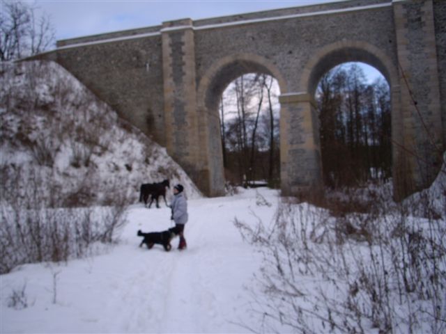 30.1.2010 003.jpg