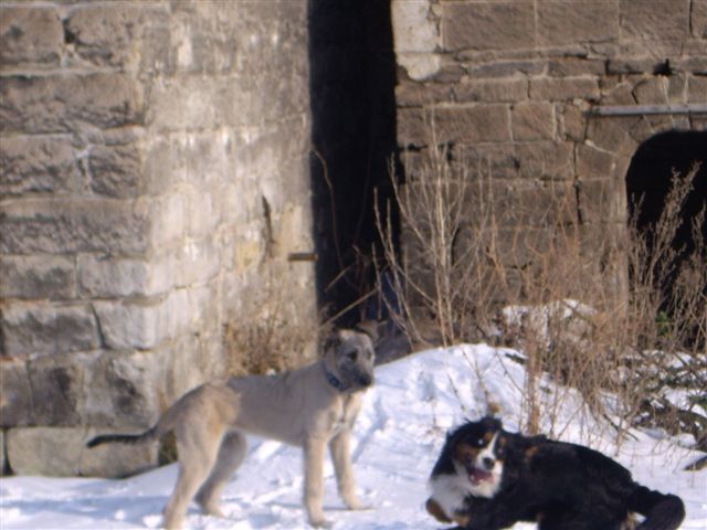14.2.2010 007.jpg