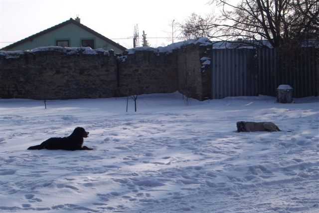 14.2.2010 012.jpg