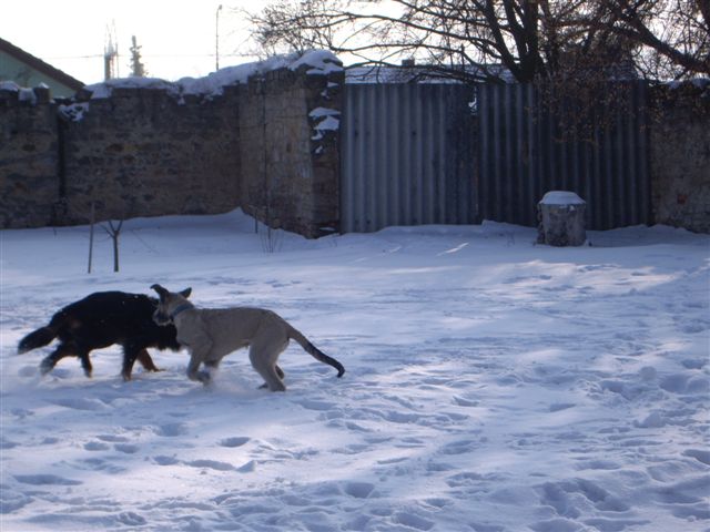 14.2.2010 013.jpg