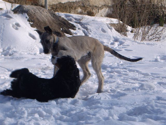14.2.2010 021.jpg
