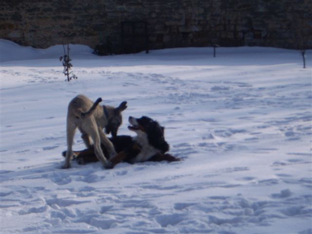 14.2.2010 022.jpg