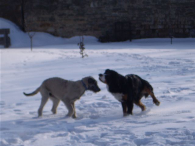 14.2.2010 023.jpg