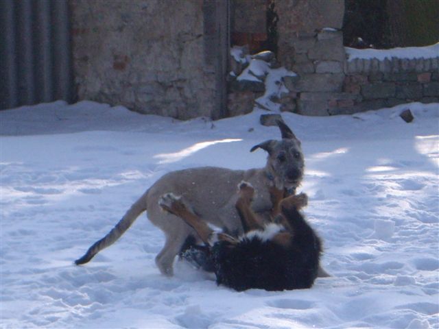 14.2.2010 027.jpg