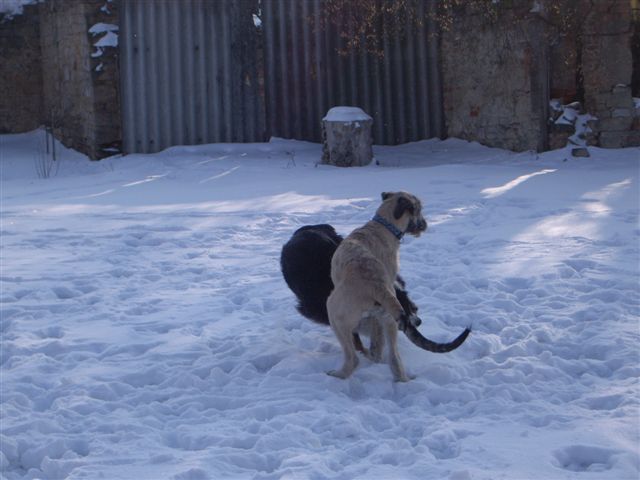 14.2.2010 029.jpg
