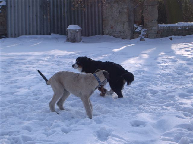 14.2.2010 033.jpg