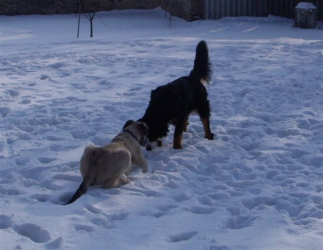 14.2.2010 034.jpg
