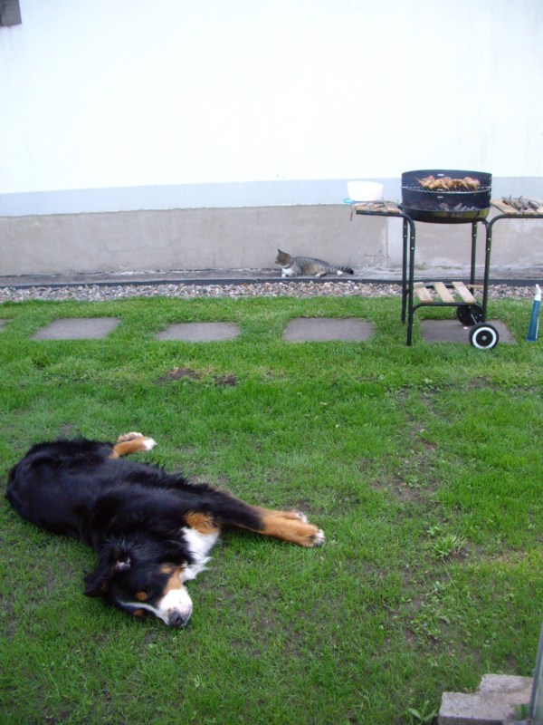 6.6.2010 0021.jpg