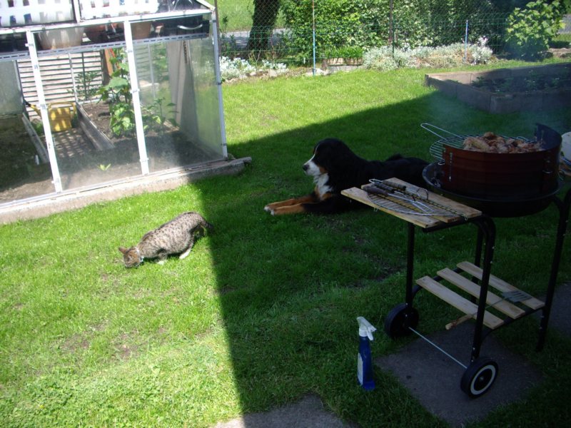 6.6.2010 0041.jpg