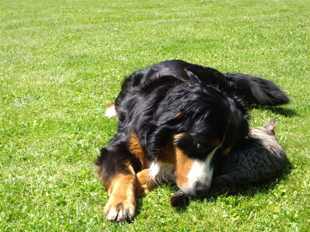6.6.2010 010.jpg