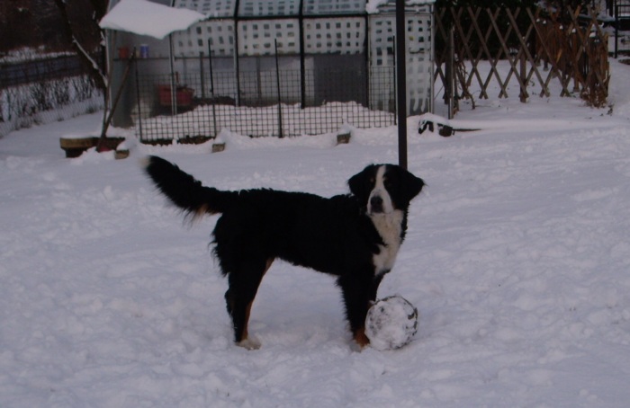 Leden 2008 0081.jpg