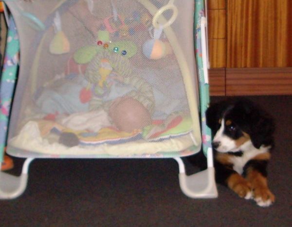 foto 011.jpg