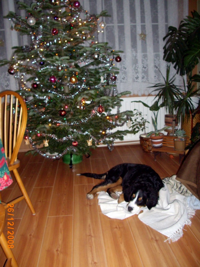 IMG_1284.JPG