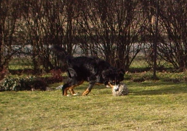 IMG_1594.JPG