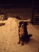 8.1.2010 013.jpg