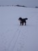 29.1.2010 005.jpg