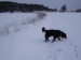 29.1.2010 011.jpg