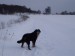 29.1.2010 019.jpg