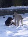 14.2.2010 005.jpg