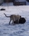 14.2.2010 008.jpg