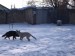 14.2.2010 013.jpg