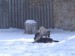14.2.2010 025.jpg