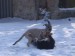 14.2.2010 027.jpg