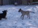 14.2.2010 028.jpg