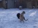 14.2.2010 029.jpg