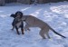 14.2.2010 032.jpg