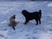 14.2.2010 035.jpg