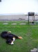 6.6.2010 0021.jpg