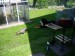 6.6.2010 0041.jpg