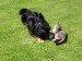 6.6.2010 005.jpg
