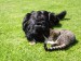 6.6.2010 006.jpg