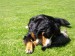 6.6.2010 010.jpg
